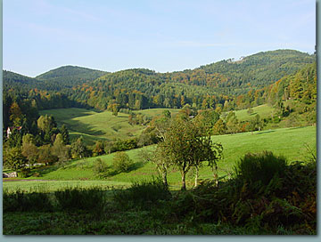 Blick ins schöne Gaistal